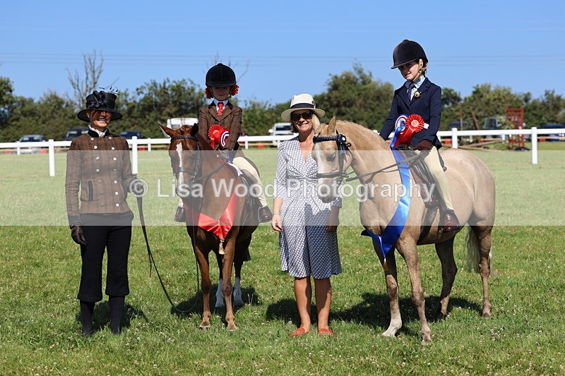 IMG_1863 - Plaited Mini Ridden Championship
