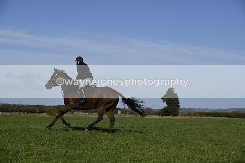 _DSC4282 - Time 09:57 to 10:26