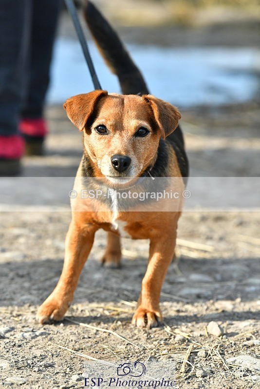 230817-083622-02426 - Stable Shots