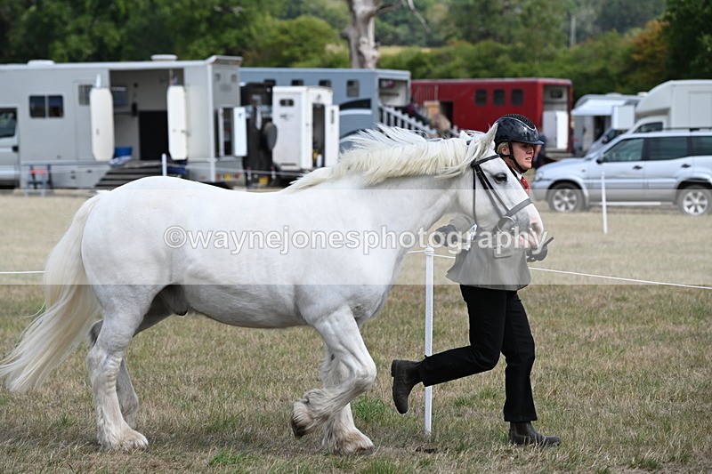 WJ6_6507 - Class 20 In-hand Cob