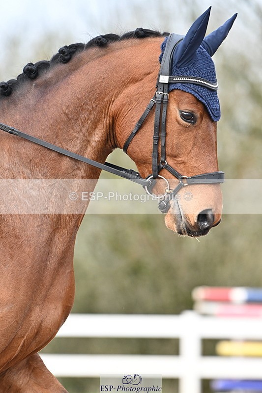 240218A-141647-08036 - 209-Charlotte.Dicker-Catherston.Tarantella