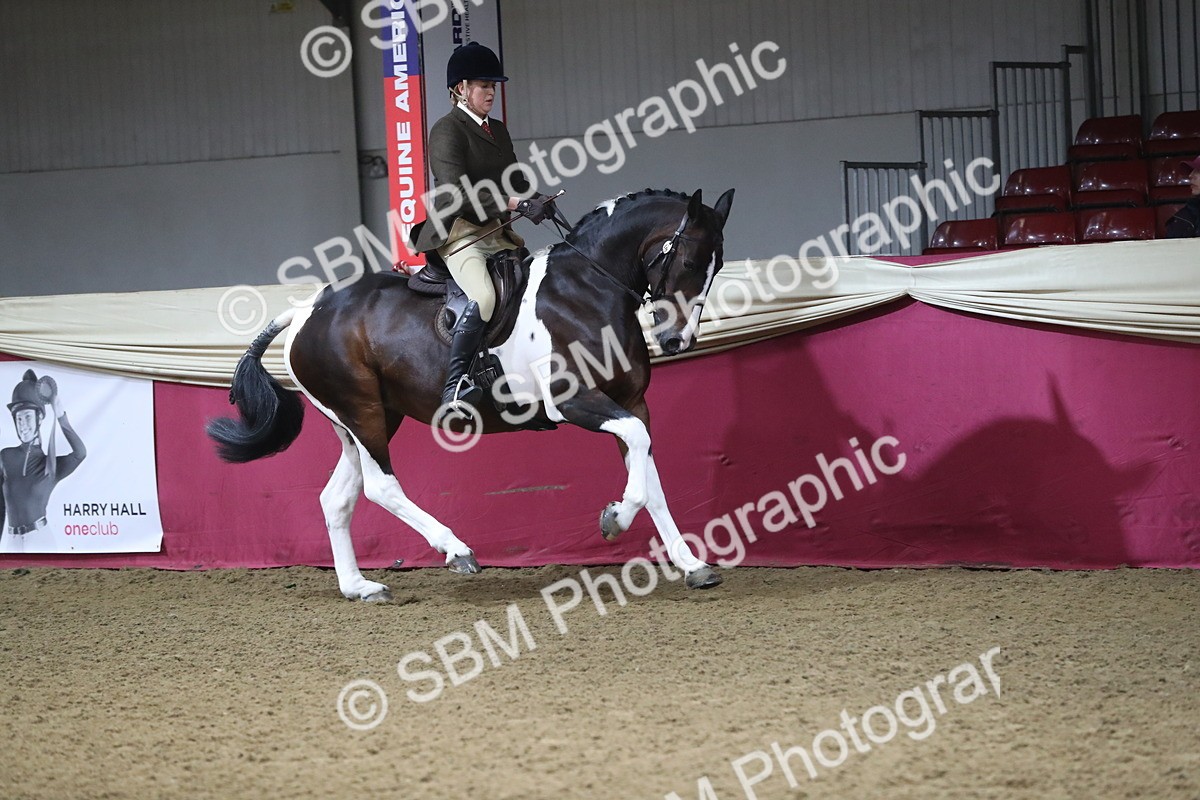 SBM_10375 - Class 102 Equitation (best rider) Adult