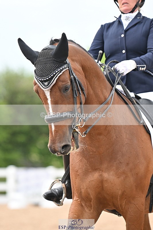 240621A-154253-04782 - Cls 13 BD Adv Medium 91