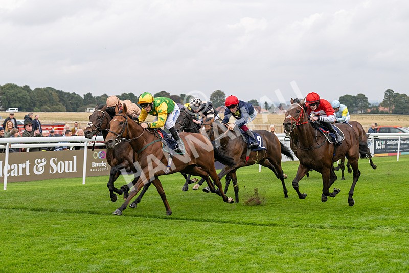 240924-Race 2-The Trickster-5938 - Race 2