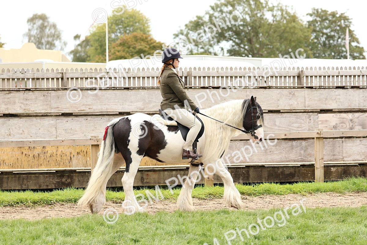 SBM_64363 - S58 - Coloured Pony Ridden