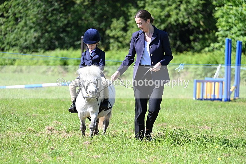 WJ7_0547 - Class 8 First Rally Pony
