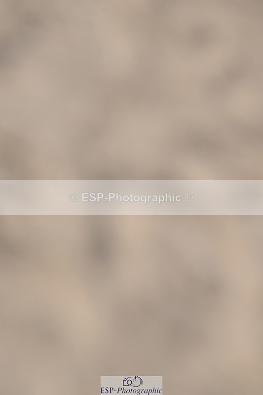 240514A-175720-00319 - 80cm