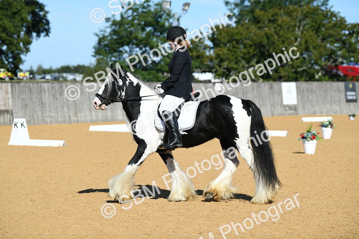 SBM_18077 - D4 - Small Tour Championship - Intro B