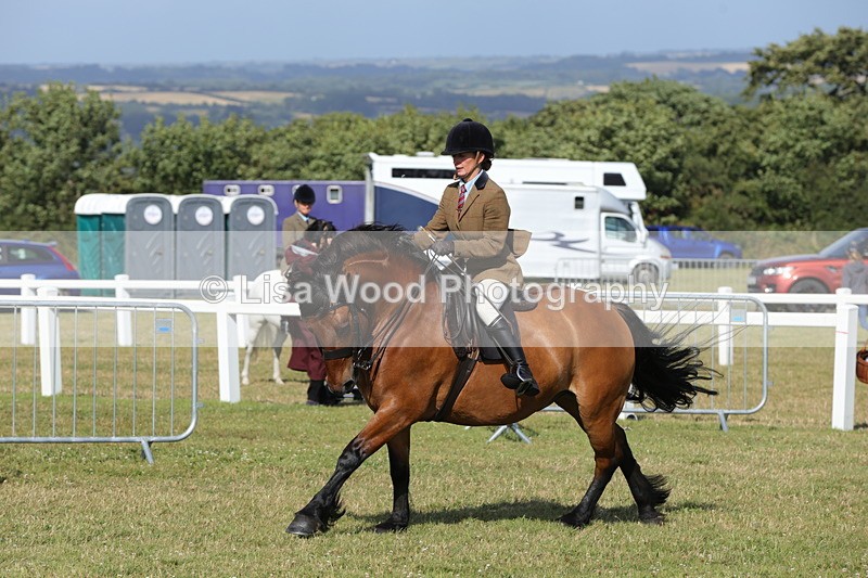 1X9A5999 - Class 42: NPS Dales, Fell, Highland