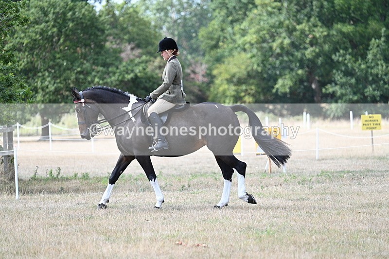 WJ7_5766 - Class 13 Ridden Veterans