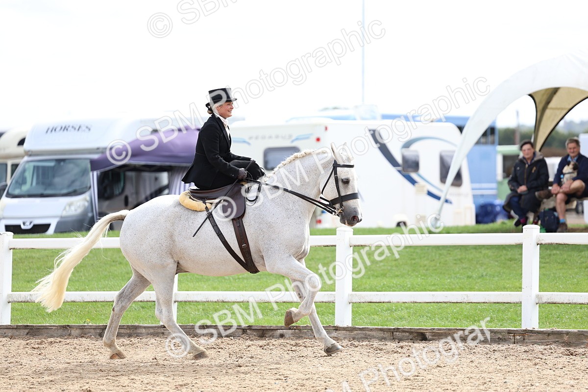 SBM_03457 - Class 24 - SSA Concours d'elegance (any age)