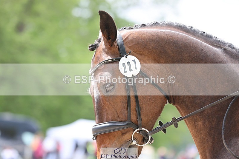 240523-143153-02857 - 227-FIREBALL_III-Oda_Christine_Lippestad