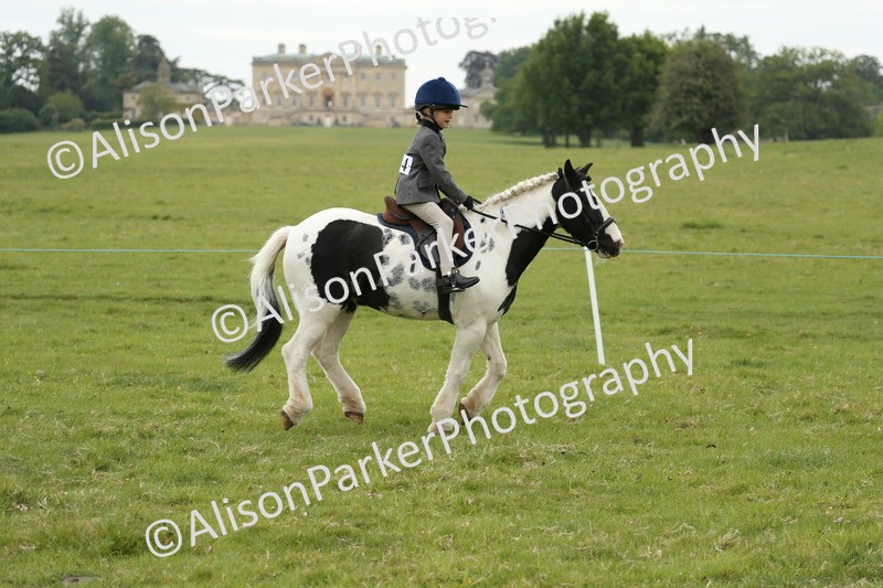 20250517-0496 - Class 20 - Beginners Working Hunter