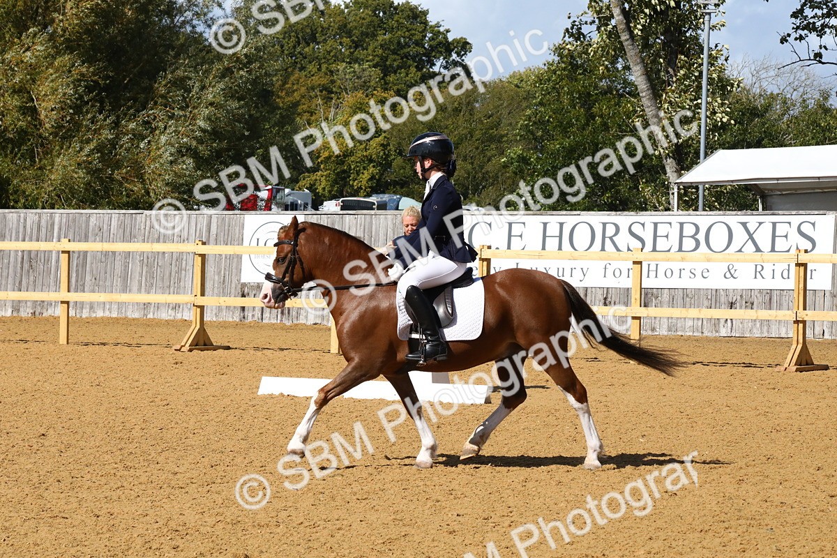 SBM_23506 - D5 - Small Tour Championshop Intro 2