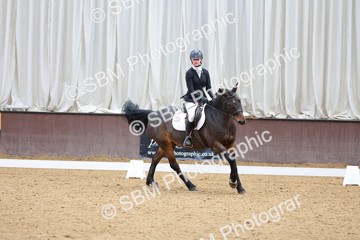 SBM_002729 - Novice