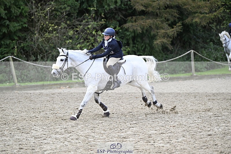 251005A-125214-03929 - Cls 08 Mini 70-75cm