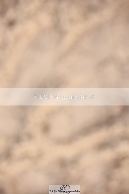 241117X-113121-04131 - Cls 29&30s 90cm