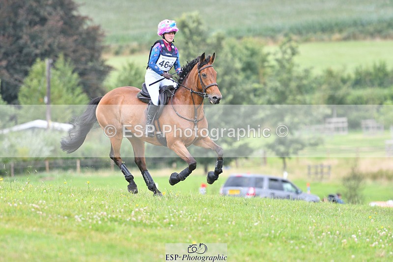 240804-131400-13726 - 464-Tichy_Sanders-SPARHANGER_VELVET