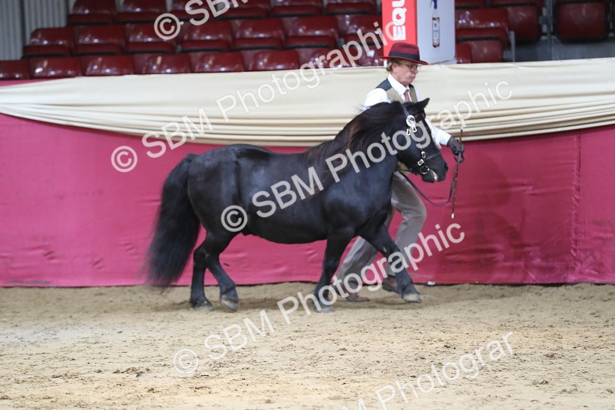 SBM_06261 - Class 9R Regional- IH Pre Vet