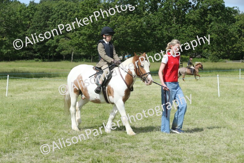 20260614-0247 - Class 1 - 30cm Lead Rein