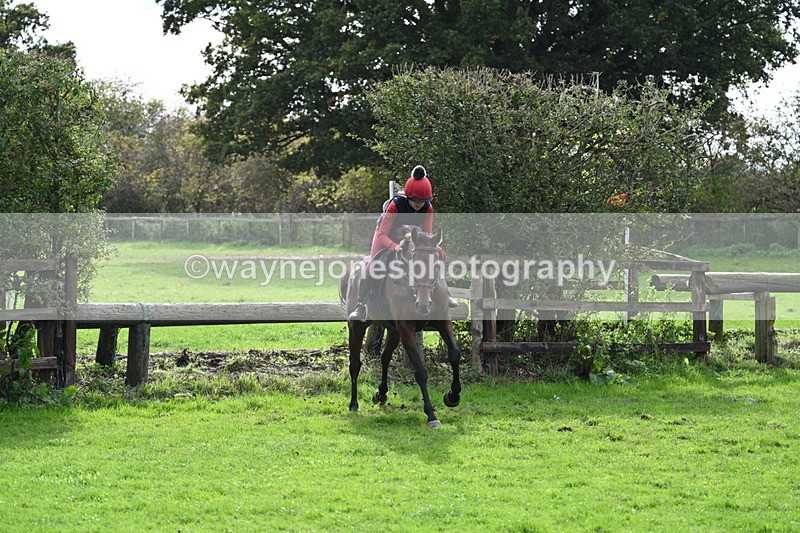 WJ7_9331 - Time 12:55 to 13:13