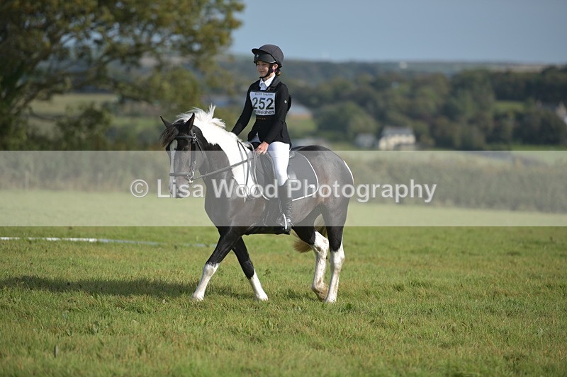 RAY_7645 - Class 2B: Trekenning Open: Dressage