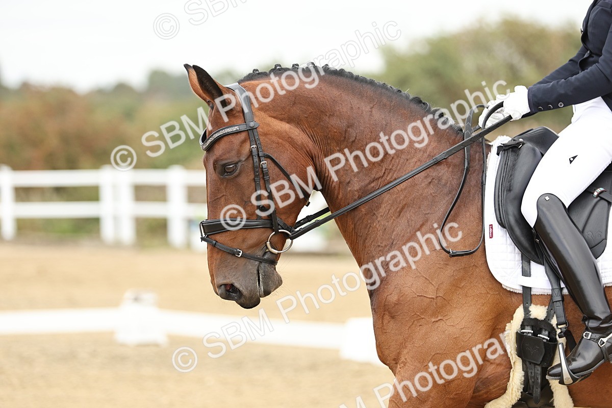 SBM_007251 - Class 25 - FEI PSG Bronze