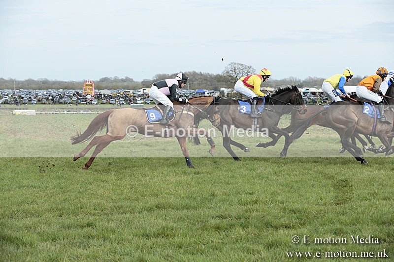 PtP 230319 268 - VWH Hunt Siddington Point-to-Point Racing 23/03/19