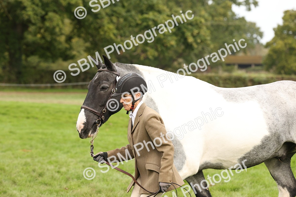 SBM_57521 - S56 - Show Cob in Hand