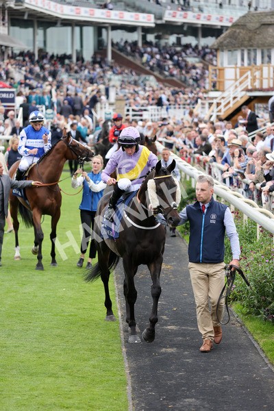 yr20082021r4-84 - Race 4 3.35pm Coolmore Wootton Bassett Nunthorpe Stakes (British Champions Series Race)