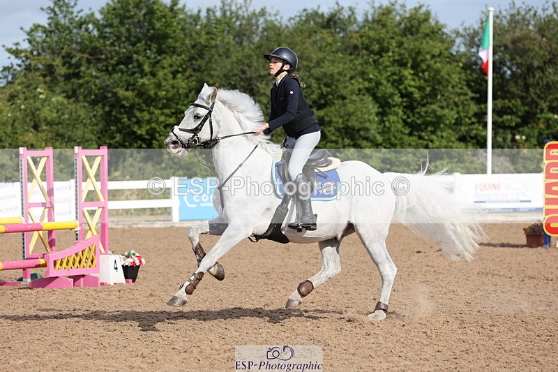 240629A-084000-02654 - Cls 16 British Novice and 80cm Open