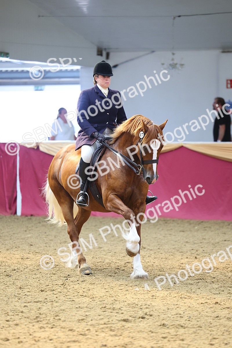 SBM_24658 - Class 906 - Supreme Final - Ridden Pre Vet