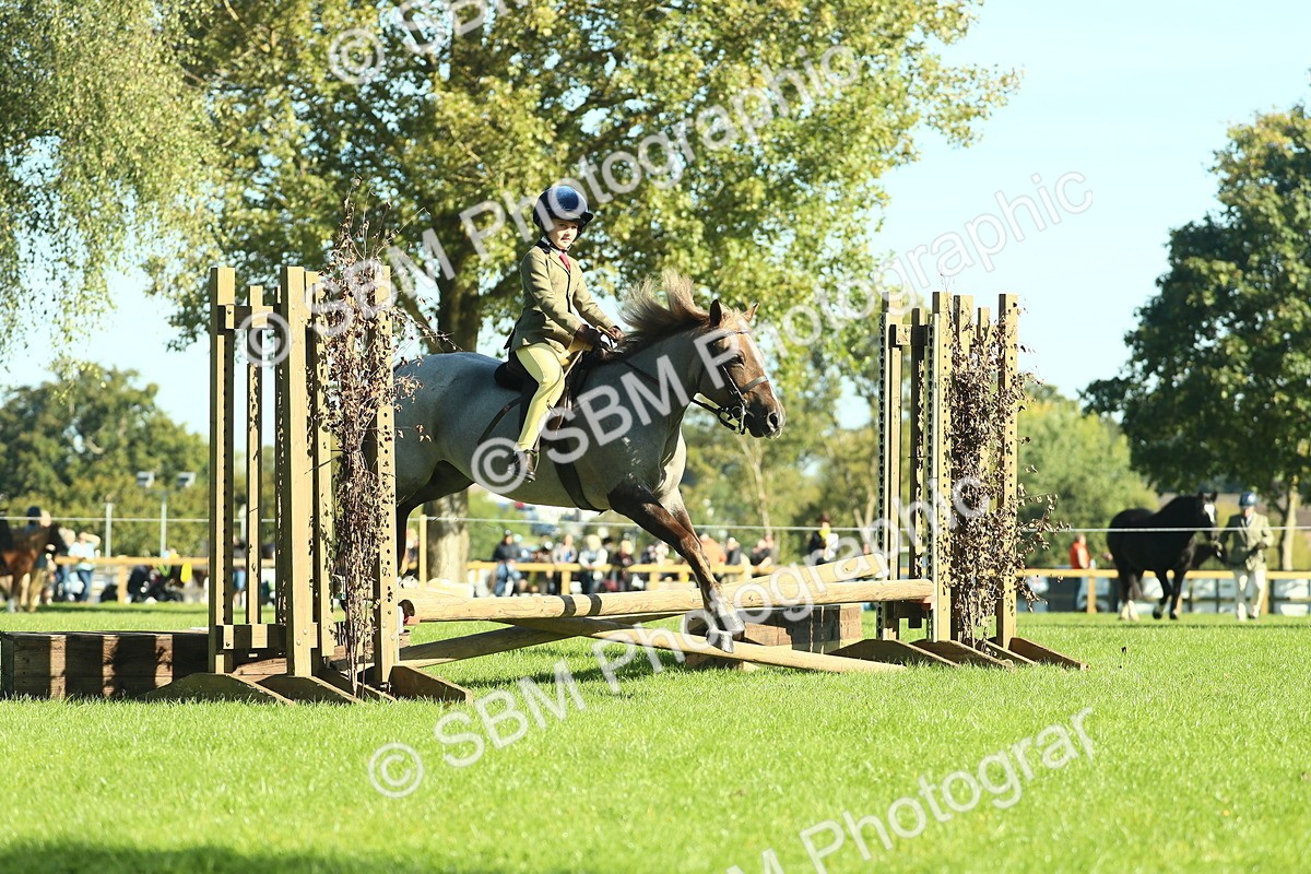 SBM_36440 - S29 - Novice & Newcomers Working Hunter Pony