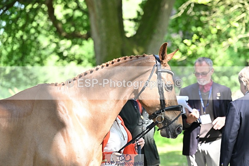 250521A-153749-00648 - B-370-Emma.Hyslop-Webb-KBS.TIME.TRAVEL