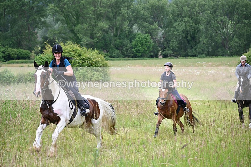 WJ6_8205 - Camera 1 Gallops