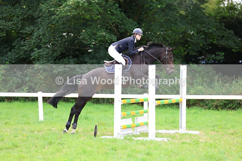 3E7A7001 - Class 5: Senior British Novice/90cm open