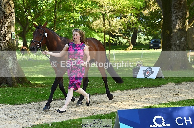 230524-162750-00888 - 151-GREANNANSTOWN_QUARRYMAN_GIRL-Grace_Taylor-WEDTrotUp+DR