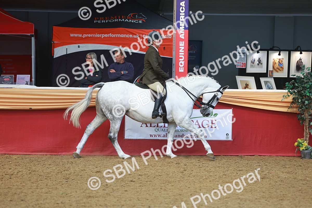 SBM_10549 - Class 103 - HOYS Veteran Qualifier - Ridden Pre Vet