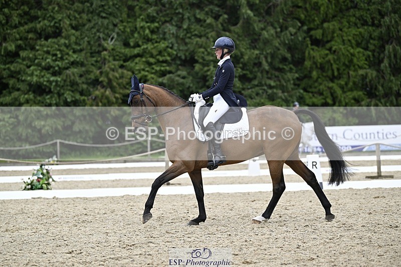 240523-145130-05116 - 442-FERNHILL_ZORO-Cassie_Sanger