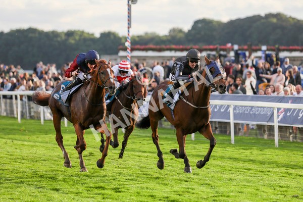 230923-Race 7-Two Brothers-5490 - Race 7 5.30pm Neil Atkinson's 60th Birthday Celebration Handicap