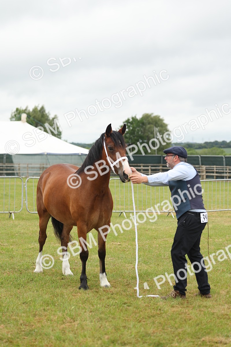 SBM_04834 - Class 50-57 - M&M Welsh Pony In Hand