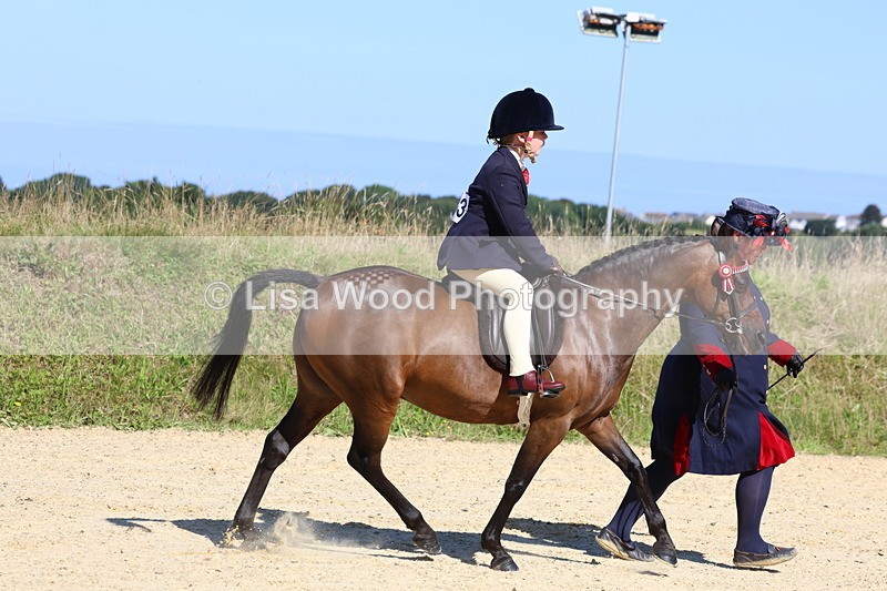 3E7A8029 - Class 15: Lead Rein