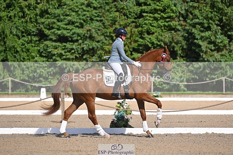 240809-163649-02442 - Novice Gold