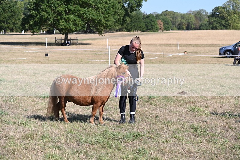 WJ6_7354 - Class 33 Rescue Pony
