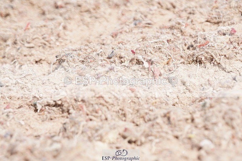 250622-100748-13300 - Cls 49 FreeStyle Novice Inc Presentations