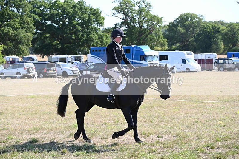 WJ6_7525 - Class 34 Judges Choice