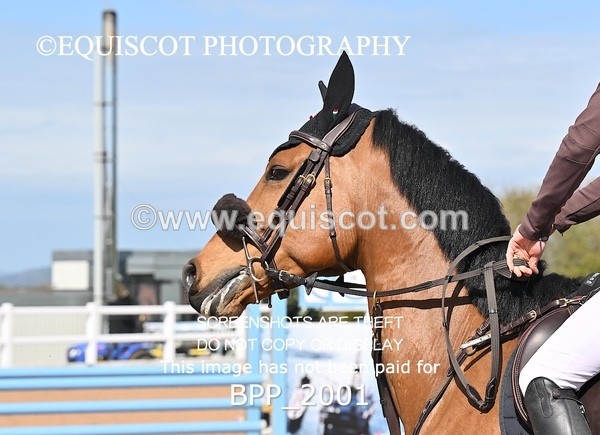 BPP_2001 - CLASS 3 - FRI - Senior British Novice/90cms Open