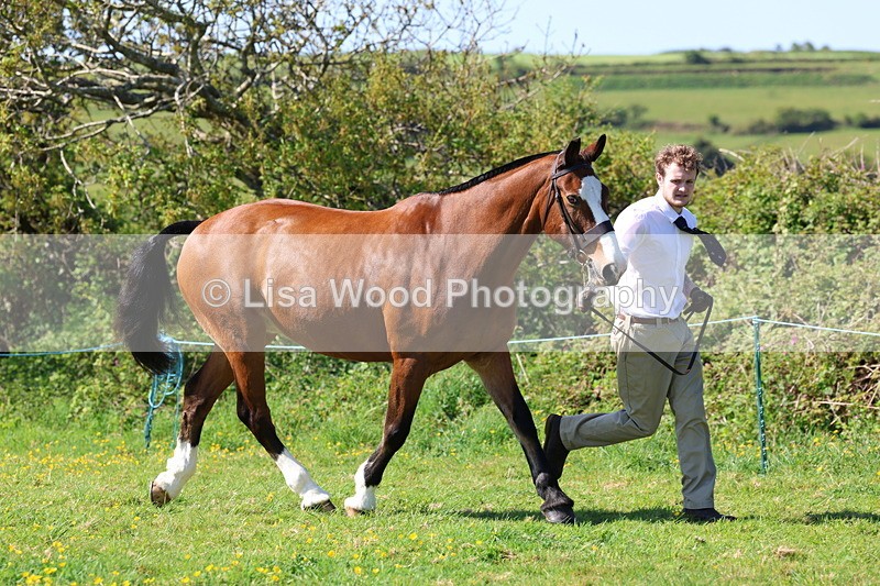 3E7A9409 - Class 16: Best Grass Kept