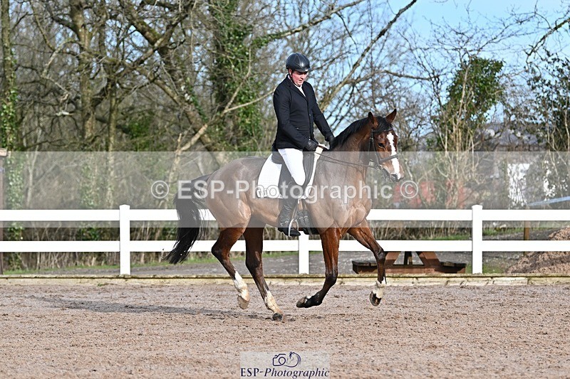 250125-110918-00276 - Dressage - CT Class 5 BE95 (90cm)