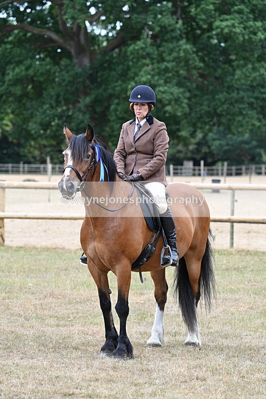 WJ7_0711 - Class 6 Ridden Mountain and Moorland